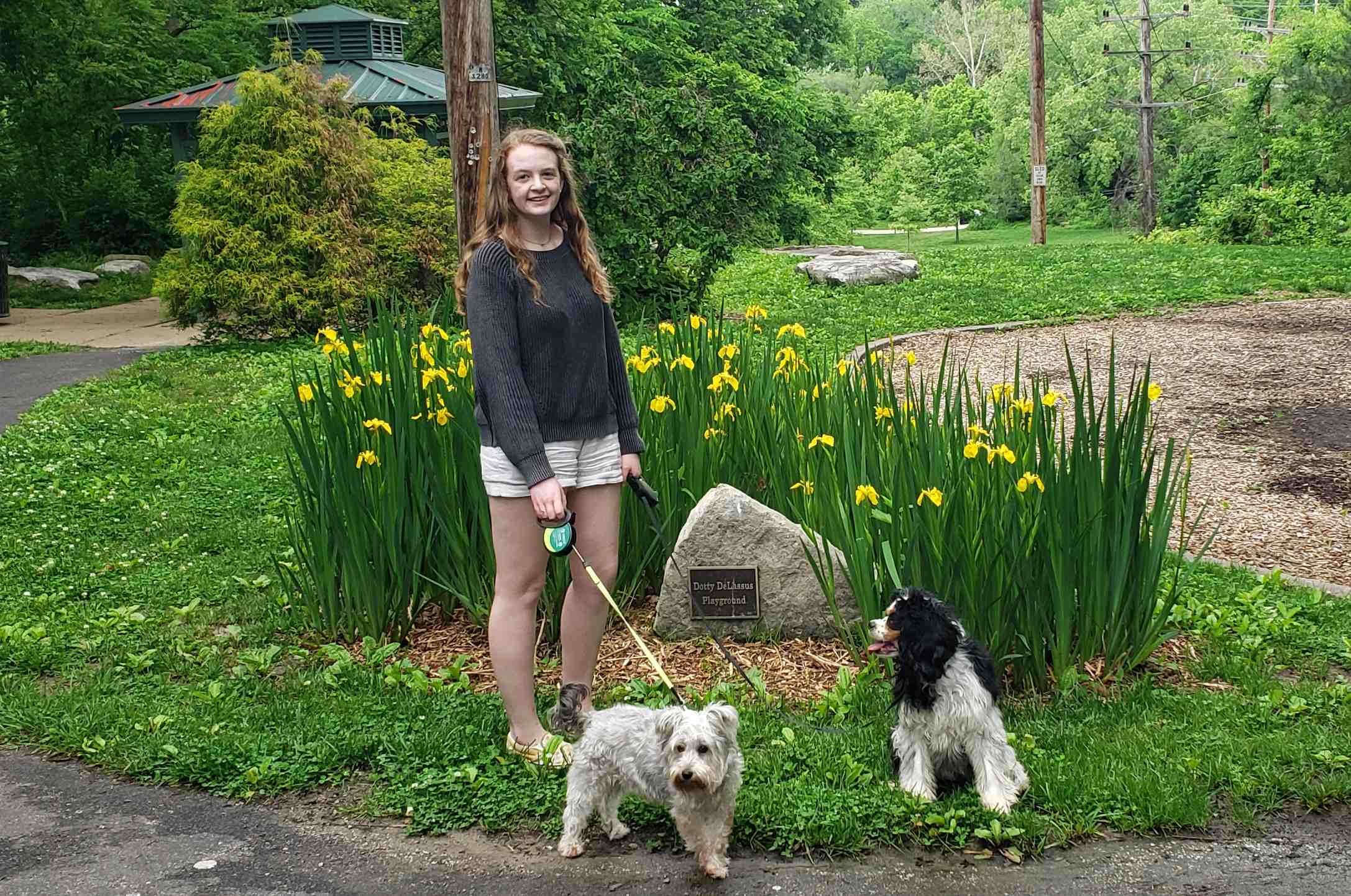 2020-05-19 JAne and dogs.jpg